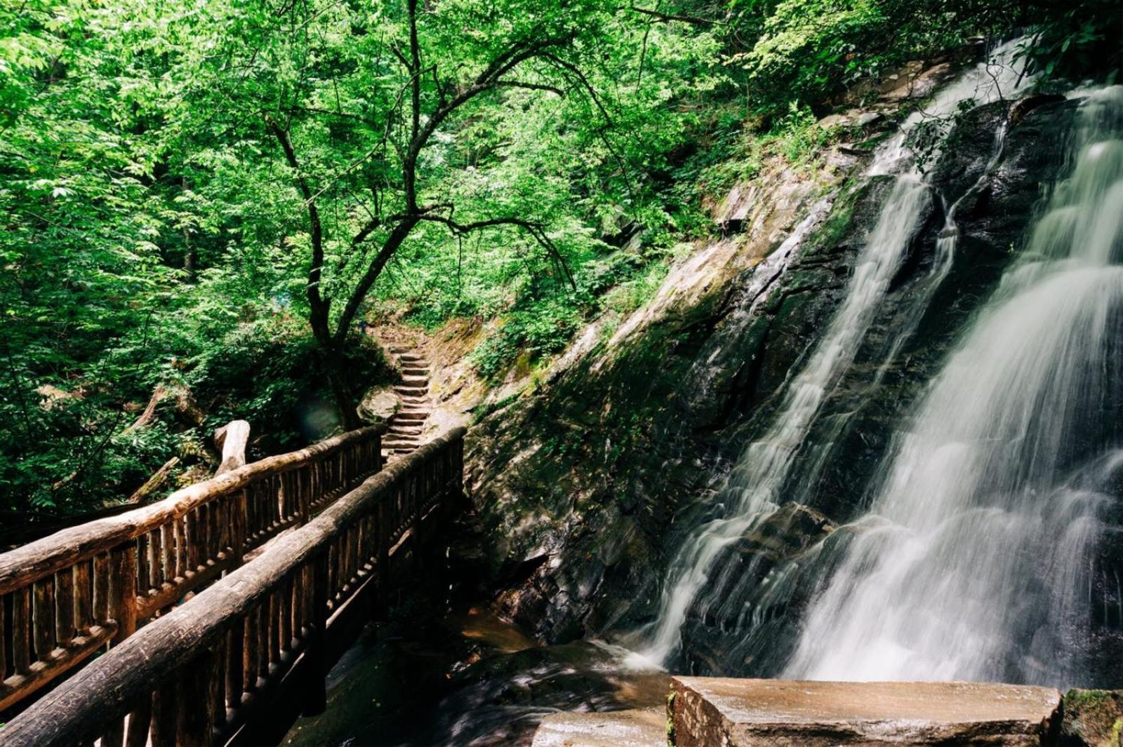Hidden Star Hideaway-Blackberry Farm-Smoky Mtn Nat Park-Hot Tub- Fire Pit- Fenced Yard- Pet Friendly Walland 외부 사진